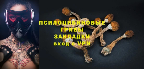первитин Алексеевка